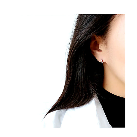 S925 Sterling Silver Micro Pave CZ Mini Stud Earrings